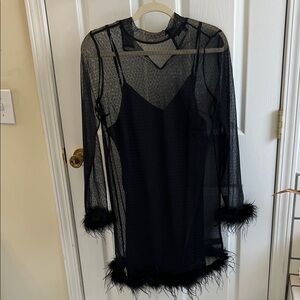 Elegant Black Sheer Dress with Feather Trim